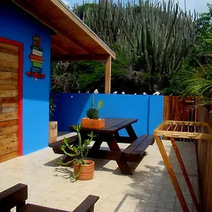 https://new-hopi-cadushi-studio-aruba.comcaribbean.com